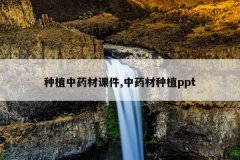 <b>ֲҩĿμ,ҩֲppt</b>