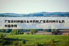 <b>�㶫ũ����ֲʲô��ҩ��,�㶫ũ����ʲôҩ������Ǯ</b>