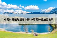 <b>��ҩ����ֲ�����ĸ���,�в�ҩ��ֲ���˹�˾</b>