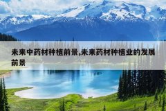 <b>δ����ҩ����ֲǰ��,δ��ҩ����ֲҵ�ķ�չǰ��</b>