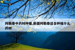 <b>����̩��ҩ����ֲ,�½�����̩�ʺ���ֲʲôҩ��</b>