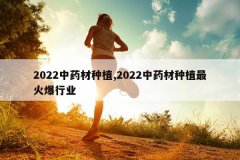 <b>2022ҩֲ,2022ҩֲҵ</b>