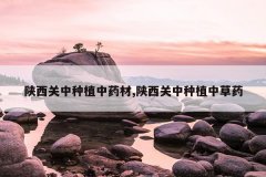 <b>����������ֲ��ҩ��,����������ֲ�в�ҩ</b>