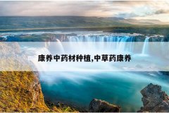 <b>������ҩ����ֲ,�в�ҩ����</b>