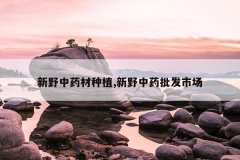 <b>��Ұ��ҩ����ֲ,��Ұ��ҩ�����г�</b>