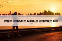 <b>��ֲ��ҩ�������ô����,��ҩ����ֲ��ô��</b>