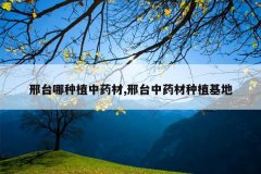 <b>��̨����ֲ��ҩ��,��̨��ҩ����ֲ����</b>