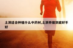 <b>�����ʺ���ֲʲô��ҩ��,�����������׺ò���</b>