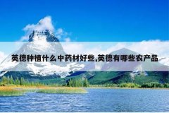 <b>Ӣ����ֲʲô��ҩ�ĺ�Щ,Ӣ������Щũ��Ʒ</b>