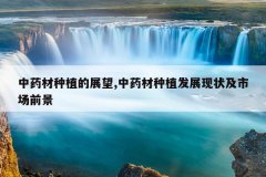 <b>��ҩ����ֲ��չ��,��ҩ����ֲ��չ��״���г�ǰ��</b>