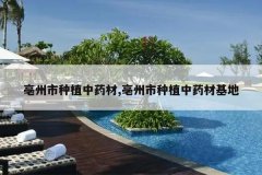 <b>��������ֲ��ҩ��,��������ֲ��ҩ�Ļ���</b>