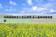 <b>��ҩ�Ĺ�Ч������ô�о�,����������о���ҩ</b>