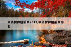 <b>��ҩ����ֲǰ��2017,��ҩ����ֲǰ������</b>