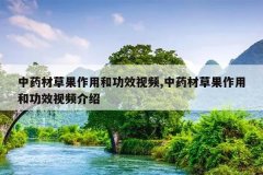 <b>��ҩ�Ĳݹ����ú͹�Ч��Ƶ,��ҩ�Ĳݹ����ú͹�Ч��Ƶ����</b>