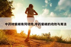 <b>��ҩ�Ĳ���кι�Ч,��ҩ����Ĺ�Ч���÷�</b>