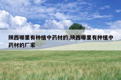 <b>������������ֲ��ҩ�ĵ�,������������ֲ��ҩ�ĵĳ���</b>