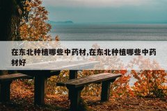 <b>�ڶ�����ֲ��Щ��ҩ��,�ڶ�����ֲ��Щ��ҩ�ĺ�</b>