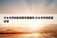 <b>ʲô��ҩ��������Ч�����,ʲô��ҩ�������ʹ</b>