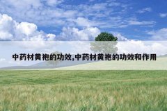 <b>��ҩ�Ļ��۵Ĺ�Ч,��ҩ�Ļ��۵Ĺ�Ч������</b>