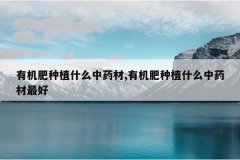 <b>�л�����ֲʲô��ҩ��,�л�����ֲʲô��ҩ�����</b>