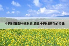 <b>ҩǶֲ,ǶҩڵļǮ</b>
