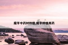 <b>ħ����ҩ����ֲ,ħ����ֲ��ҩ</b>