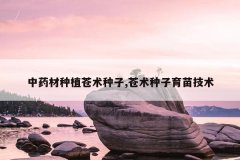 <b>ҩֲ,缼</b>