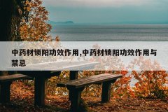 <b>��ҩ��������Ч����,��ҩ��������Ч���������</b>