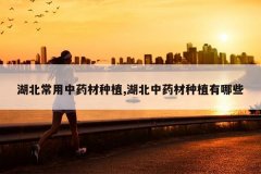 <b>����������ҩ����ֲ,������ҩ����ֲ����Щ</b>