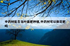 <b>��ҩ���ܷ�Ҷ�����ֲ,��ҩ�Ŀ�����������</b>