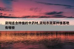 <b>�����ʺ���ֲ����ҩ��,�������߲���ֲ��������Щ</b>