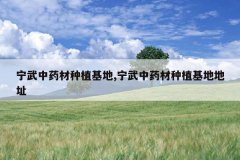 <b>������ҩ����ֲ����,������ҩ����ֲ���ص�ַ</b>