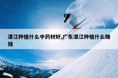 <b>տ����ֲʲô��ҩ�ĺ�,�㶫տ����ֲʲô׬Ǯ</b>