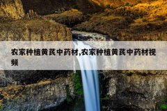 <b>ũ����ֲ������ҩ��,ũ����ֲ������ҩ����Ƶ</b>