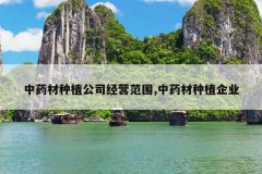 <b>��ҩ����ֲ��˾��Ӫ��Χ,��ҩ����ֲ��ҵ</b>