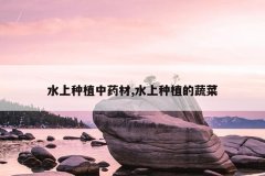 <b>ˮ����ֲ��ҩ��,ˮ����ֲ���߲�</b>