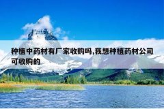 <b>��ֲ��ҩ���г����չ���,������ֲҩ�Ĺ�˾���չ���</b>