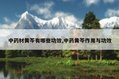 <b>��ҩ�Ļ�������Щ��Ч,��ҩ���������빦Ч</b>