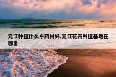 <b>Ԫ����ֲʲô��ҩ�ĺ�,Ԫ��������ֲ����������</b>