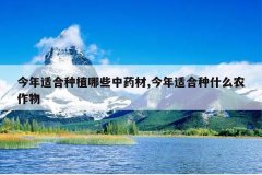 <b>�����ʺ���ֲ��Щ��ҩ��,�����ʺ���ʲôũ����</b>