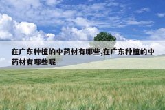 <b>�ڹ㶫��ֲ����ҩ������Щ,�ڹ㶫��ֲ����ҩ������Щ��</b>