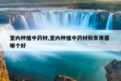 <b>������ֲ��ҩ��,������ֲ��ҩ�ĺ�ʳ�þ� �ĸ���</b>