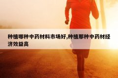 <b>��ֲ������ҩ�����г���,��ֲ������ҩ�ľ���Ч���</b>