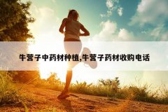 <b>ţӪҩֲ,ţӪҩչ绰</b>