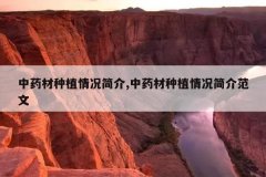 <b>ҩֲ,ҩֲ鷶</b>