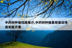 <b>��ҩ����ֲ�����ƽ�,��ҩ����ֲ���ؽ�����Ŀʵʩ����</b>