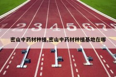 <b>��ɽ��ҩ����ֲ,��ɽ��ҩ����ֲ��������</b>