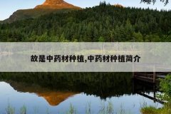 <b>������ҩ����ֲ,��ҩ����ֲ���</b>