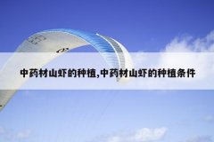 <b>��ҩ��ɽϺ����ֲ,��ҩ��ɽϺ����ֲ����</b>