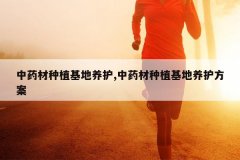 <b>��ҩ����ֲ��������,��ҩ����ֲ������������</b>